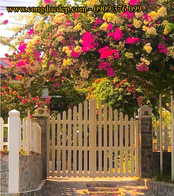 cổng vòm hoa giấy 2 màu